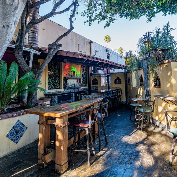 Sunny outdoor restaurant patio with a bar, wooden tables, and metal chairs under large trees.