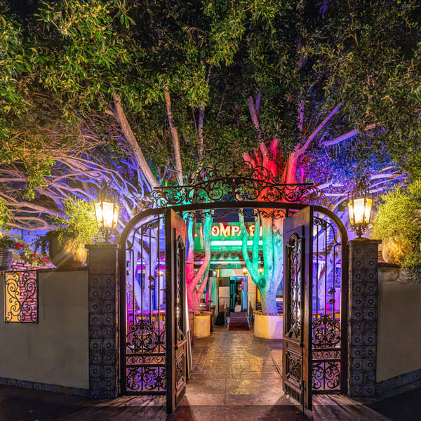 Vibrant restaurant entrance at night with an ornate gate and trees lit in red, green, and blue.