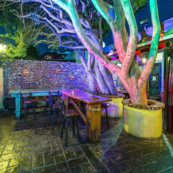 Vibrant outdoor restaurant patio at night with colorful trees, brick walls, and various seating.