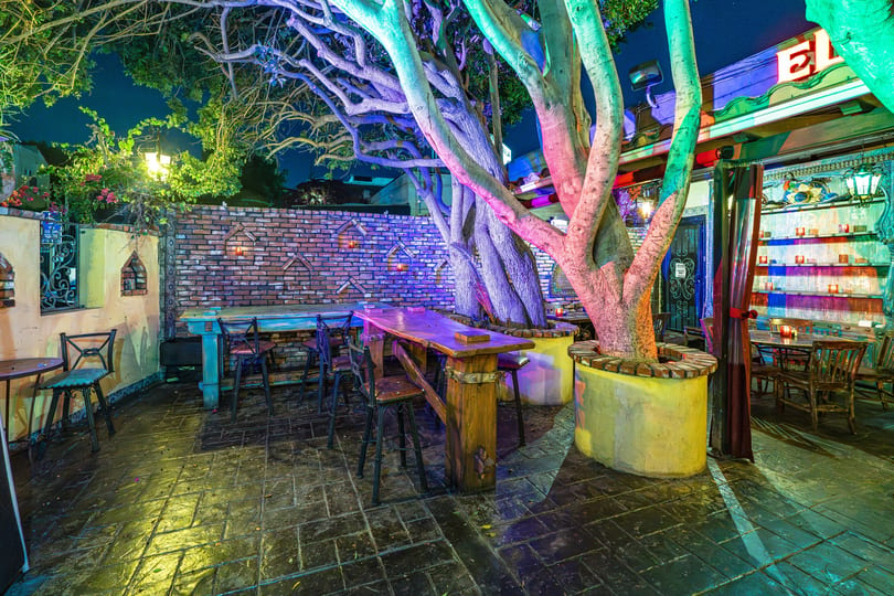 Vibrant outdoor restaurant patio at night with colorful trees, brick walls, and various seating.